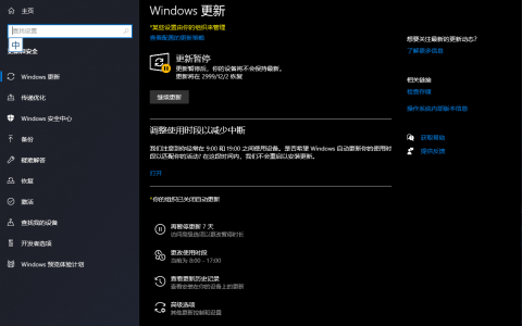 【系统工具】暂停Win10 / Win11 系统更新 到 2999年